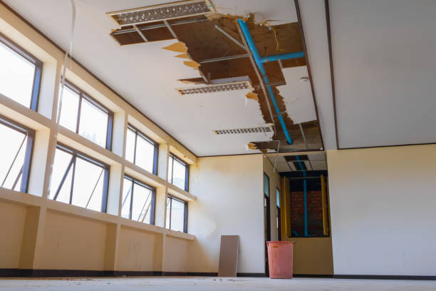 Best Flood restoration services  in Shannondale, WV