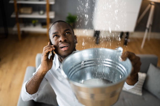 Best Basement water damage restoration  in Shannondale, WV