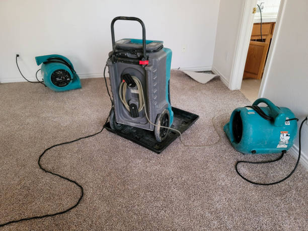 Best Water damage restoration near me  in Shannondale, WV