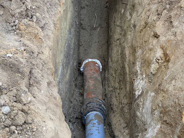 Best Flood restoration services  in Shannondale, WV
