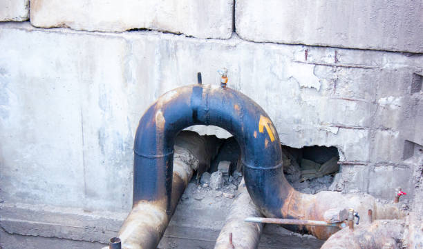 Best Water damage restoration near me  in Shannondale, WV
